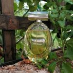 عطر ادکلن بیوتی کلوین کلاین - Beauty Calvin Klein - بررسی، قیمت و خرید