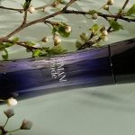 عطر ادکلن آرمانی کد فور وومن جیورجیو آرمانی - Armani Code for Women Giorgio Armani - بررسی، قیمت و خرید
