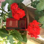 عطر ادکلن شموخ الغتره سوئیس عربین - Shumoukh Al Ghutra Swiss Arabian - بررسی، قیمت و خرید