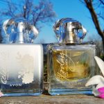 عطر ادکلن تودِی تومارو آلویس سلبریت اِیوِن - Today Tomorrow Always Celebrate Avon - بررسی، قیمت و خرید