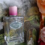 عطر ادکلن اینفیوژن د رز پِرادا - Infusion de Rose Prada - بررسی، قیمت و خرید