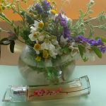 عطر ادکلن فلاور ایکبانا ساکورا کنزو - Flower Ikebana Sakura Kenzo - بررسی، قیمت و خرید