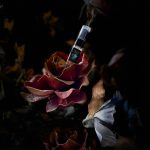 عطر ادکلن لوپرا دِ روژ اِ دِ رُز دی‌اس‌اچ پرفیومز - l’Opera des Rouges et des Roses DSH Perfumes - بررسی، قیمت و خرید