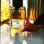 عطر ادکلن آمبر سوپریم لز ایندمودابل - Ambre Suprême Les Indemodables - بررسی، قیمت و خرید