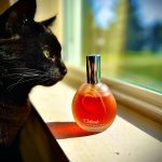 عطر ادکلن کلوئه کلوئه - Chloé (Parfums Chloé) Chloé - بررسی، قیمت و خرید
