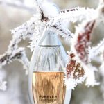 عطر ادکلن فوراور تاچ د آرژانت لورا بیاجوتی - Forever Touche d'Argent Laura Biagiotti - بررسی، قیمت و خرید