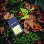 عطر ادکلن سندور سونتیس کارنر بارسلونا - Sandor 70's Carner Barcelona - بررسی، قیمت و خرید