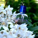 عطر ادکلن هر چویس لا ریو - Her Choice La Rive - بررسی، قیمت و خرید