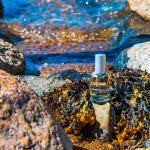 عطر ادکلن کاپیتل چهار اسکاندیناویسک - Kapitel 4 Skandinavisk - بررسی، قیمت و خرید