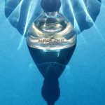 عطر ادکلن مینگ شو فلور ریر ایوز روشه - Ming Shu Fleur Rare Yves Rocher - بررسی، قیمت و خرید