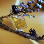 عطر ادکلن آرسو پروفیوم روم - Arso Profumum Roma - بررسی، قیمت و خرید