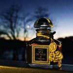 عطر ادکلن وُل دِ نویی اکسترکت گرلن - Vol de Nuit Extract Guerlain - بررسی، قیمت و خرید
