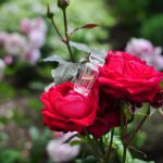 عطر ادکلن مومنت د بونور ایوروشه - Moment de Bonheur Yves Rocher - بررسی، قیمت و خرید