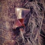 عطر ادکلن پرفیوم د پو مونتانا - Parfum de Peau Montana - بررسی، قیمت و خرید
