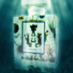 عطر ادکلن آمره کارتوزیا - A'mmare Carthusia - بررسی، قیمت و خرید