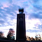 عطر ادکلن فیفت اونیو رویال الیزابت آردن - 5th Avenue Royale Elizabeth Arden - بررسی، قیمت و خرید