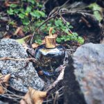 عطر ادکلن لولیتا لمپیکا له پارفوم ۲۰۲۱ لولیتا لمپیکا - Lolita Lempicka Le Parfum 2021 Lolita Lempicka - بررسی، قیمت و خرید