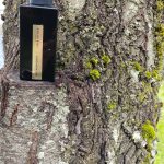 عطر ادکلن کارداموم عود آتلیه ربول - Cardamom Oud Atelier Rebul - بررسی، قیمت و خرید