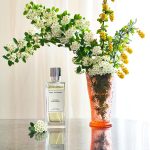عطر ادکلن اینتیمت وایت فلاورز آنجل شلسر - Intimate White Flowers Angel Schlesser - بررسی، قیمت و خرید
