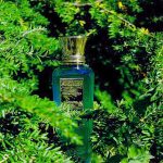 عطر ادکلن انگکور نایت بلند عود - Angkor Night Blend Oud - بررسی، قیمت و خرید