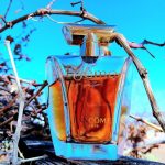 عطر ادکلن پوام لانکوم - Poeme Lancôme - بررسی، قیمت و خرید