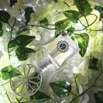عطر ادکلن لتیشیا آنجلا چمپاگنا - Laetitia Angela Ciampagna - بررسی، قیمت و خرید