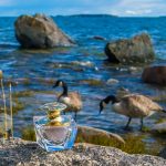 عطر ادکلن اتراکشن آدیکتد اسنس دو پرفیوم ایون - Attraction Addicted Essence de Parfum Avon - بررسی، قیمت و خرید