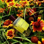 عطر ادکلن سدرات انیورانت اتلیه کلن - Cedrat Enivrant Atelier Cologne - بررسی، قیمت و خرید