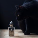 عطر ادکلن او هیرا استفان هامبرت لوکاس هفتصد و هفتاد و هفت - O Hira Stéphane Humbert Lucas 777 - بررسی، قیمت و خرید