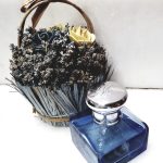 عطر ادکلن رالف لورن بلو رالف لورن - Ralph Lauren Blue Ralph Lauren - بررسی، قیمت و خرید