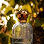 عطر ادکلن دولچه کیو بی آجیومی - Dolce Q.B. Adjiumi - بررسی، قیمت و خرید