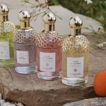 عطر ادکلن نرولیا وتیور هاروست گرلن - Nerolia Vetiver Harvest Guerlain - بررسی، قیمت و خرید