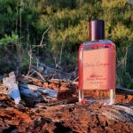 عطر ادکلن بوهمین اورنج بلاسِم آتیلیه کلن - Bohemian Orange Blossom Atelier Cologne - بررسی، قیمت و خرید