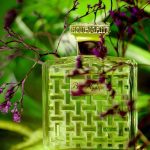 عطر ادکلن بوا مِستیک هوبیگانت - Bois Mystique Houbigant - بررسی، قیمت و خرید