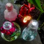 عطر ادکلن کتچ می لو کشَرِل - Catch Me...L'Eau Cacharel - بررسی، قیمت و خرید