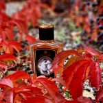 عطر ادکلن کمل زولوجیست پرفیومز - Camel Zoologist Perfumes - بررسی، قیمت و خرید