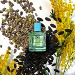 عطر ادکلن میموسا کلود ادو تویلت زارا - Mimosa Cloud Eau de Toilette Zara - بررسی، قیمت و خرید