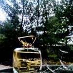 عطر ادکلن بیوتیفول ابسولو استی لودر - Beautiful Absolu Estée Lauder - بررسی، قیمت و خرید