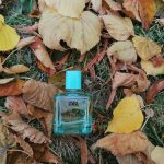 عطر ادکلن میموسا کلود ادو تویلت زارا - Mimosa Cloud Eau de Toilette Zara - بررسی، قیمت و خرید