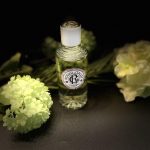 عطر ادکلن فدته راجر اند گالت - Feuille de Thé Roger & Gallet - بررسی، قیمت و خرید