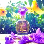 عطر ادکلن ویوشس هیرام گرین - Vivacious Hiram Green - بررسی، قیمت و خرید