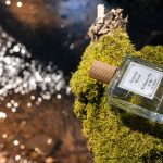 عطر ادکلن سکویا وود ده پرفیومرز استوری بای آزی - Sequoia Wood The Perfumer's Story by Azzi - بررسی، قیمت و خرید