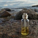 عطر ادکلن الگرس کارتیه - Allégresse Cartier - بررسی، قیمت و خرید