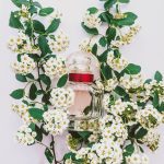عطر ادکلن مون گرلن بلوم آف رز گرلن - Mon Guerlain Bloom of Rose Guerlain - بررسی، قیمت و خرید