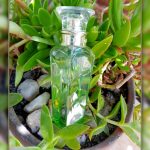 عطر ادکلن آگوا فرسکا د آزاهار آدولفو دومینگز - Agua Fresca de Azahar Adolfo Dominguez - بررسی، قیمت و خرید