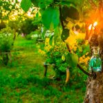 عطر ادکلن مای لیتل گاردن اوریفلیم - My Little Garden Oriflame - بررسی، قیمت و خرید
