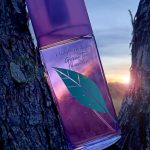 عطر ادکلن گرین تی لوندر الیزابت آردن - Green Tea Lavender Elizabeth Arden - بررسی، قیمت و خرید
