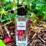 عطر ادکلن نوزده پنجاه و هفت او دو پرفیوم چنل - 1957 Eau de Parfum Chanel - بررسی، قیمت و خرید