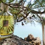 عطر ادکلن کور دزانژ اتلیه دز اورس - Choeur Des Anges Atelier des Ors - بررسی، قیمت و خرید