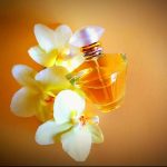 عطر ادکلن جورنی مری کی - Journey Mary Kay - بررسی، قیمت و خرید